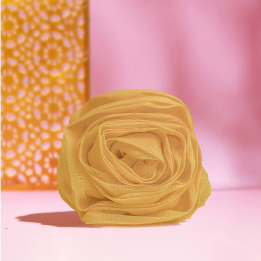 Fleur de douche de la Femme Rayonnante